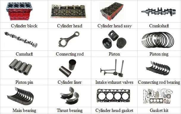 Diesel Engine Parts Isf3.8 Engine Spare Parts Engine Camshaft for Cummins Engine Parts